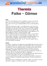 Falke - Gämse.pdf